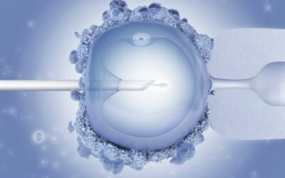 How To Schedule Acupuncture Sessions During IVF?